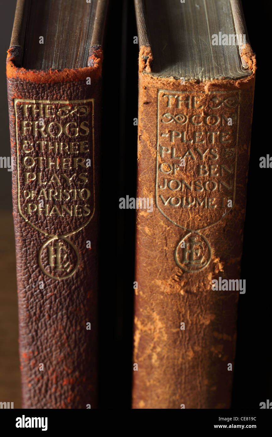 Due vecchi libri di riproduzioni Foto Stock
