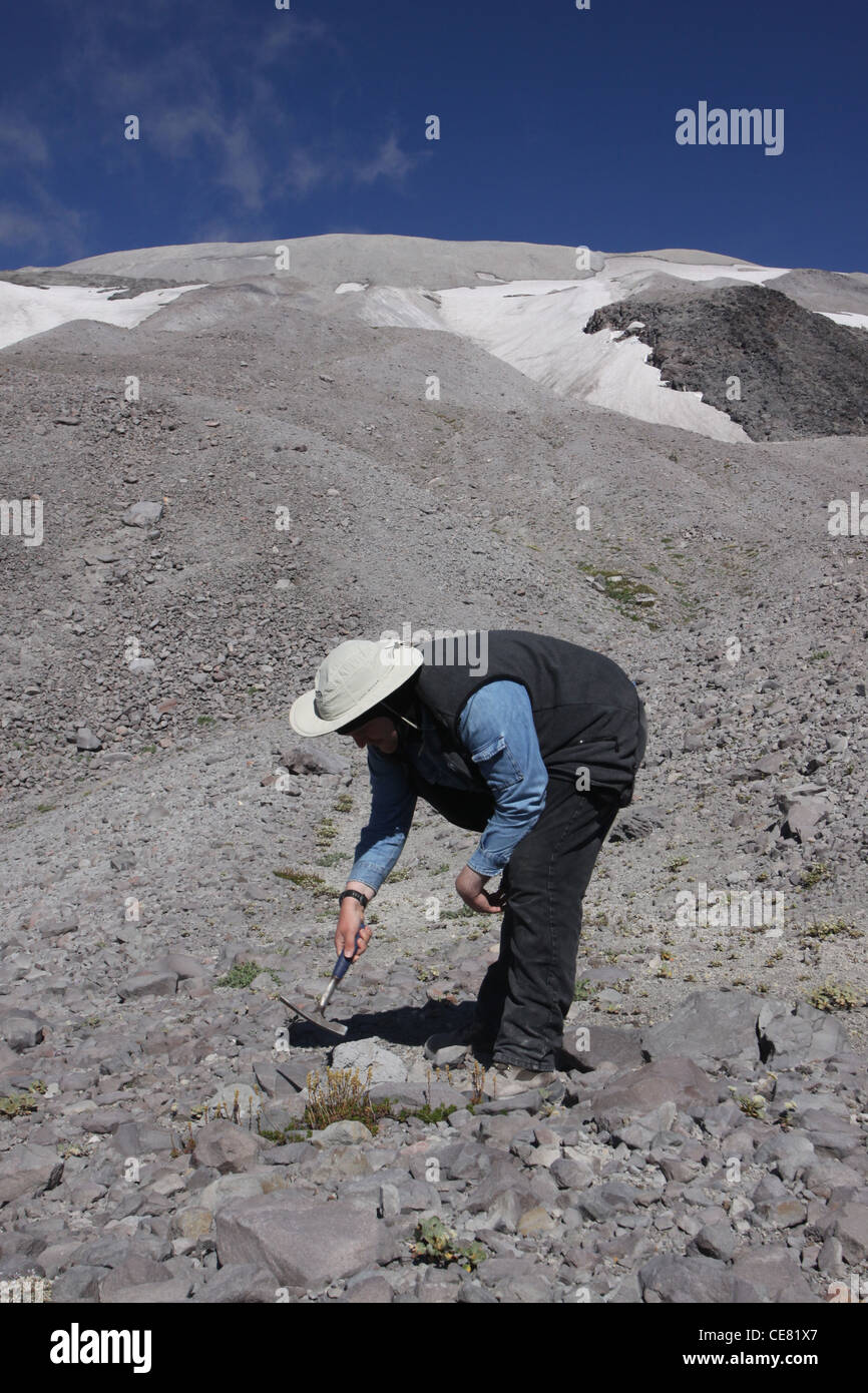Geologo studio lava delle ceneri al di fuori del cratere del Monte St Helens Vulcano monumento nazionale Foto Stock