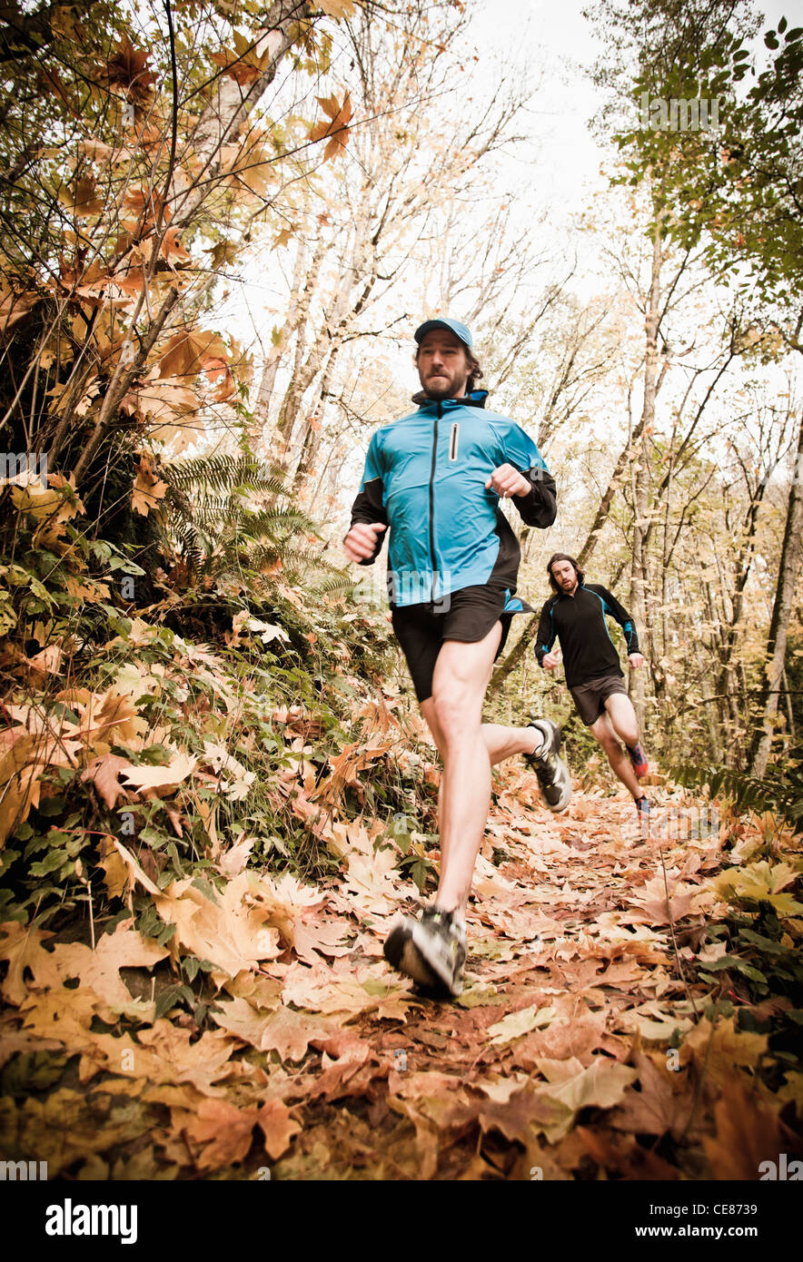 Due uomini trail running attraverso una foresta di colori autunnali. Foto Stock