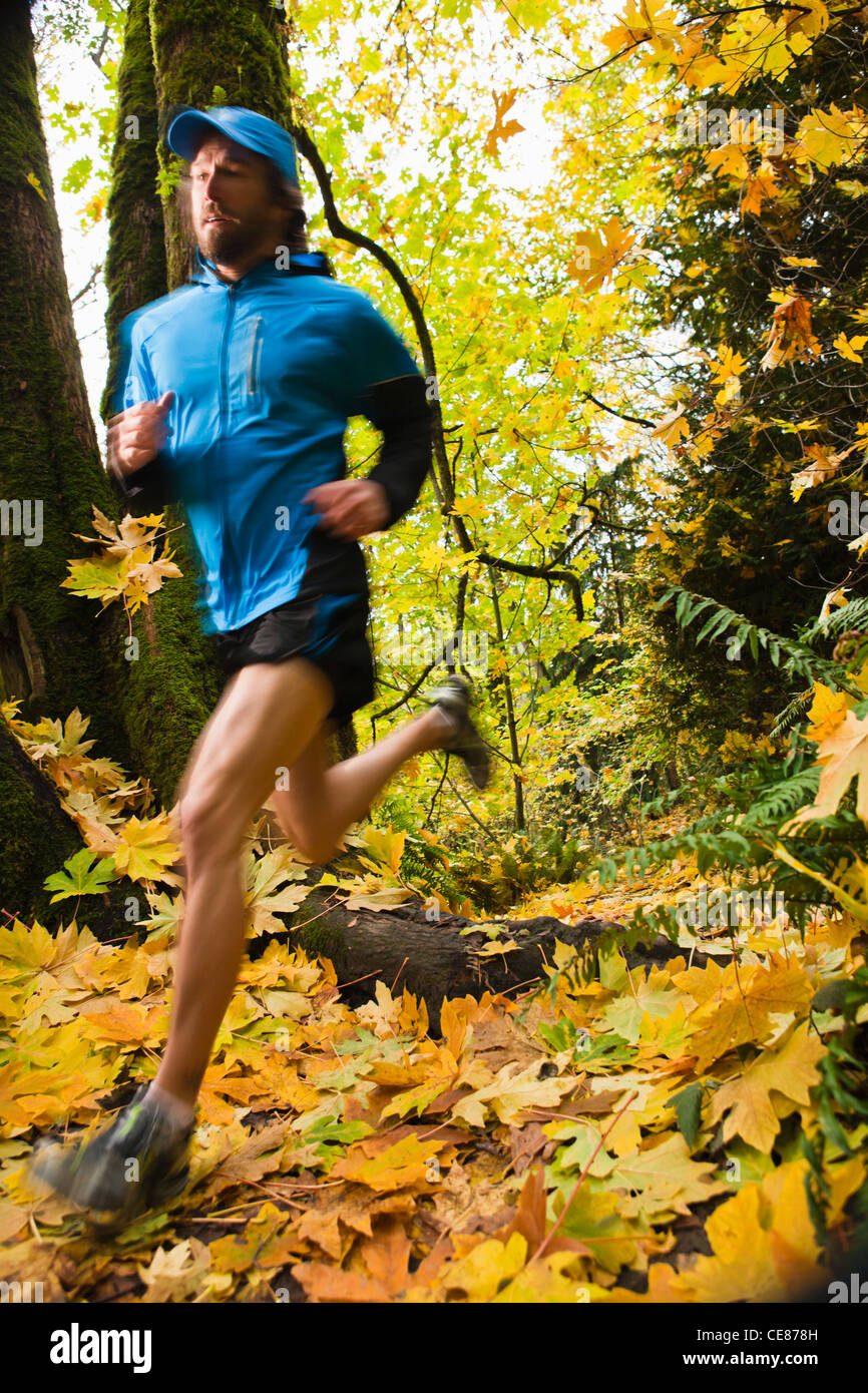 Un uomo di corsa su sentiero nel bosco in Autunno colori. Foto Stock