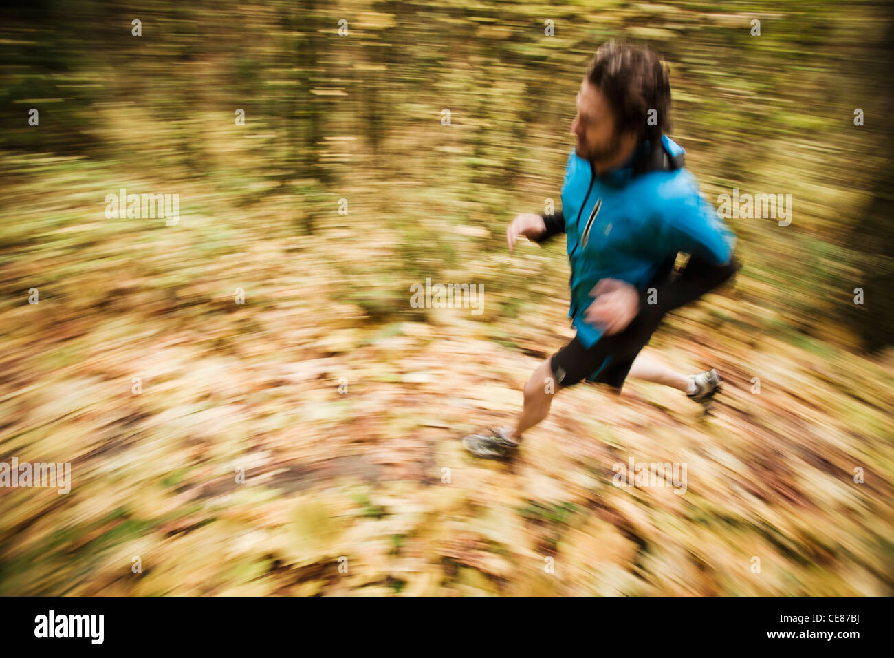 Un elevato angolo di vista panoramica di un uomo trail running in colori autunnali. Foto Stock