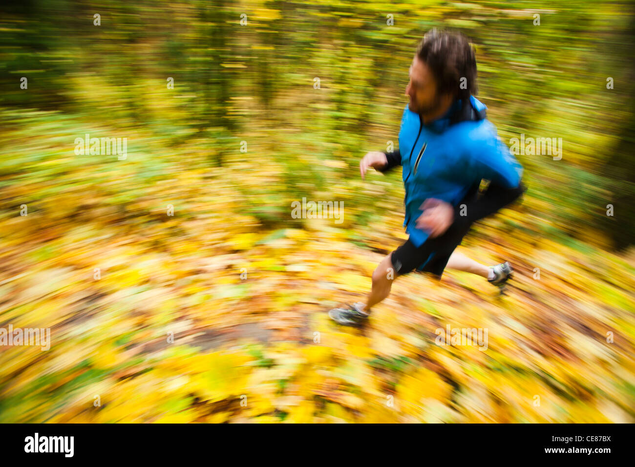 Un elevato angolo di vista panoramica di un uomo trail running in colori autunnali. Foto Stock