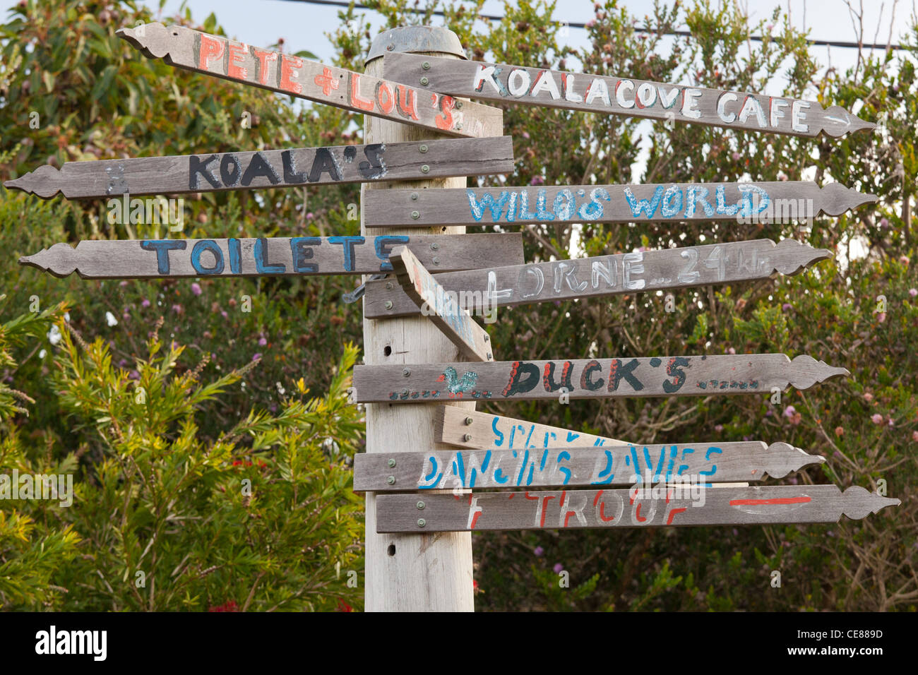 Seguire le indicazioni per il Koala a Kennet River, Melbourne Foto Stock