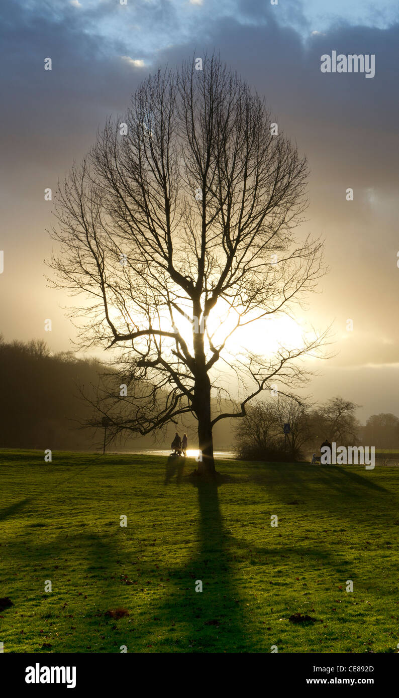 La mattina presto potrete passeggiare nel parco Foto Stock