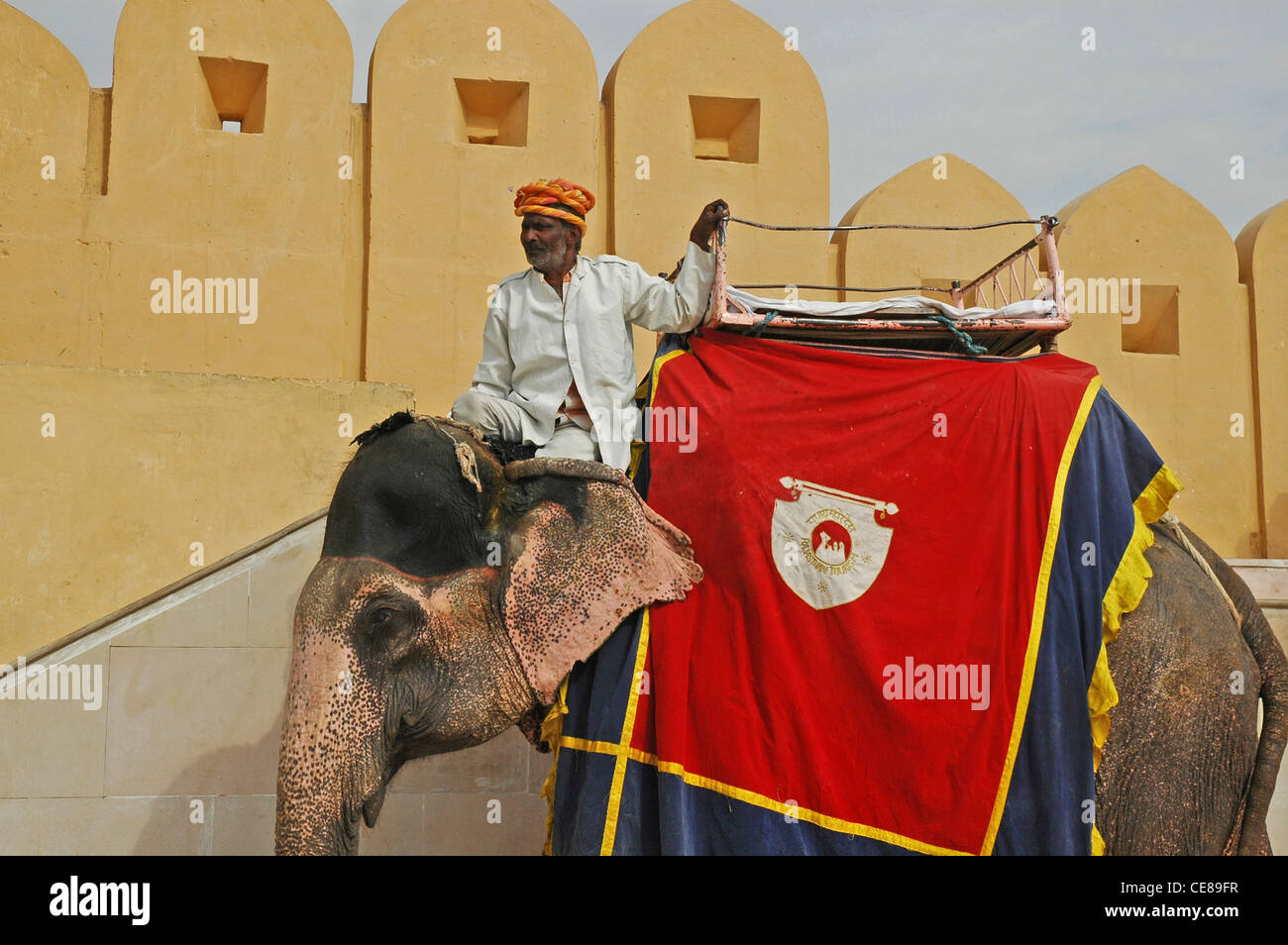 INDIA Rajasthan, Jaipur, Forte Amber (1592), mahout ed elefante Foto Stock