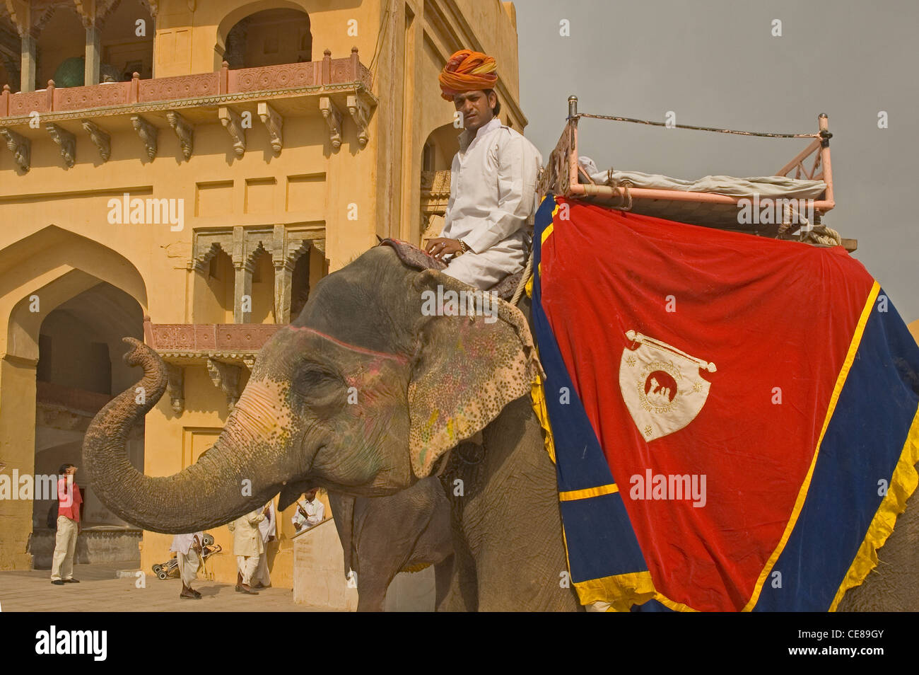 INDIA Rajasthan, Jaipur, Forte Amber (1592), mahout ed elefante Foto Stock