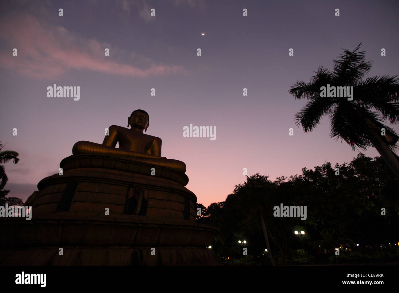 Sri Lanka, Colombo, Parco Viharamahadevi, statua del Buddha di sera Foto Stock