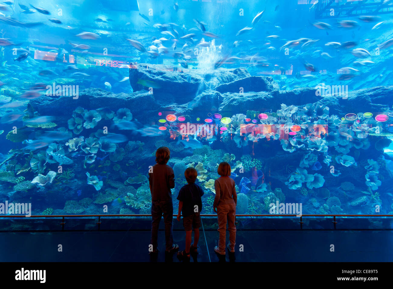 Dubai, piccola folla di visitatori a raccogliere grandi finestre di Dubai Aquarium a Dubai Mall Foto Stock