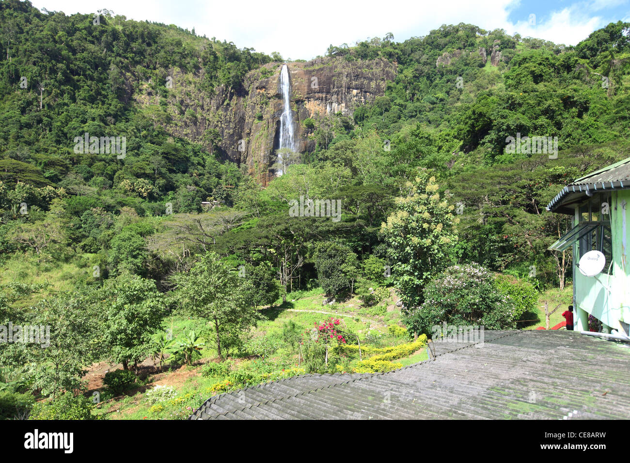 Sri Lanka, provincia di Uva, Diyaluma cade, Haputale, natura cascata verde Foto Stock