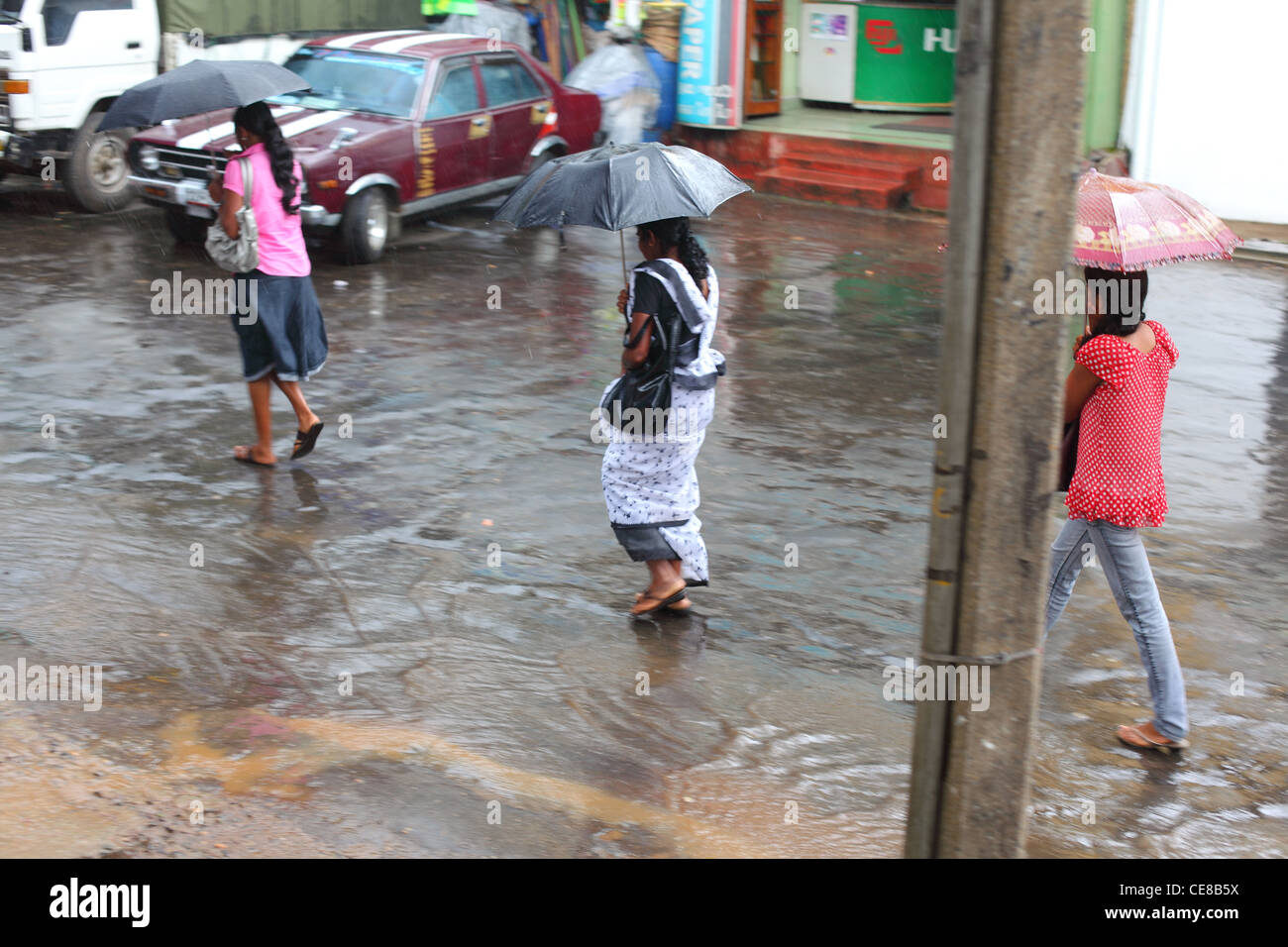 Sri Lanka, provincia di Uva, Badulla, pioggia, pioggia clima tropicale Foto Stock