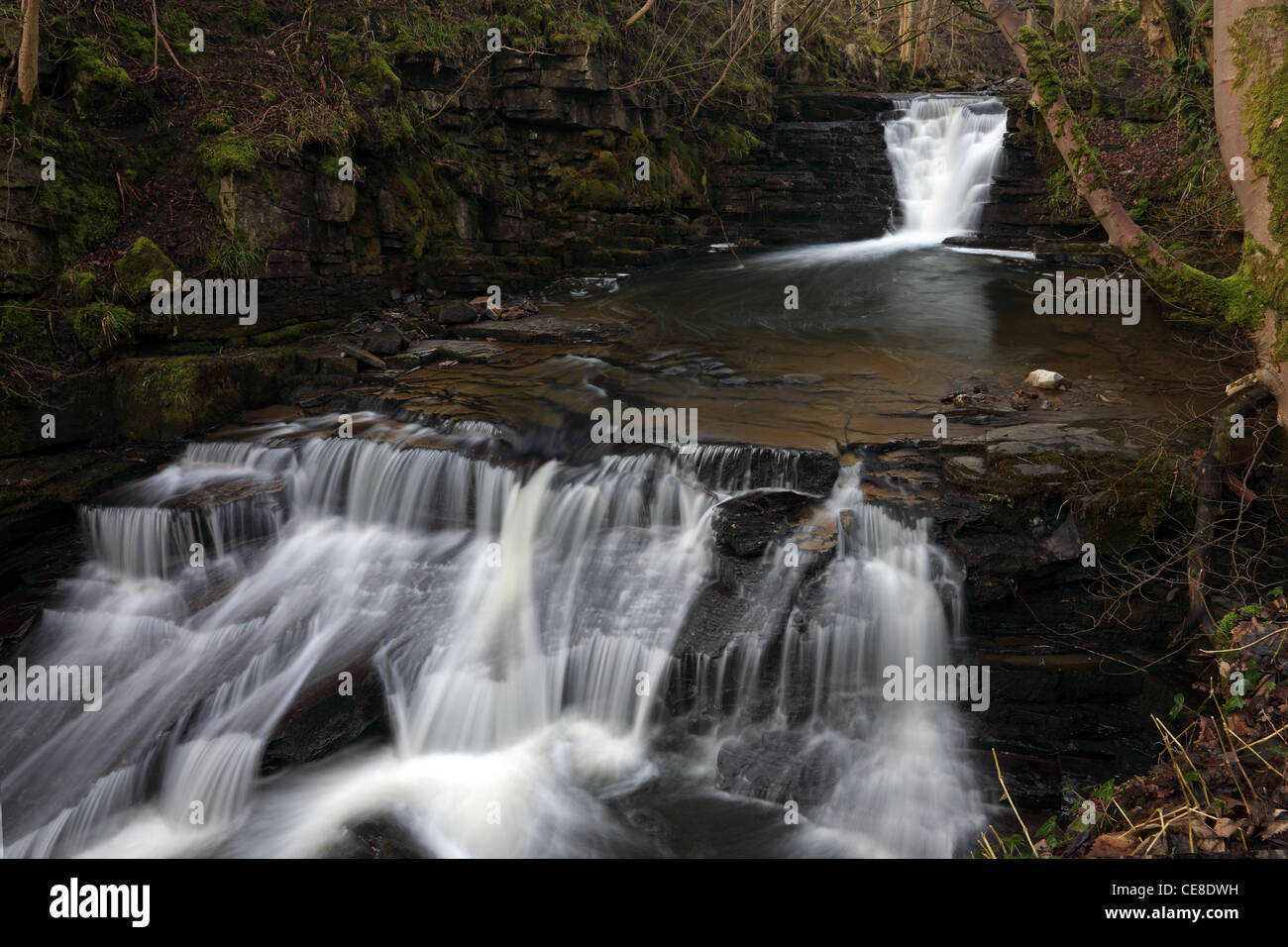 Alta cascata mulino su Middlehope masterizzare, fessura legno SSI, Westgate, Weardale County Durham Regno Unito Foto Stock