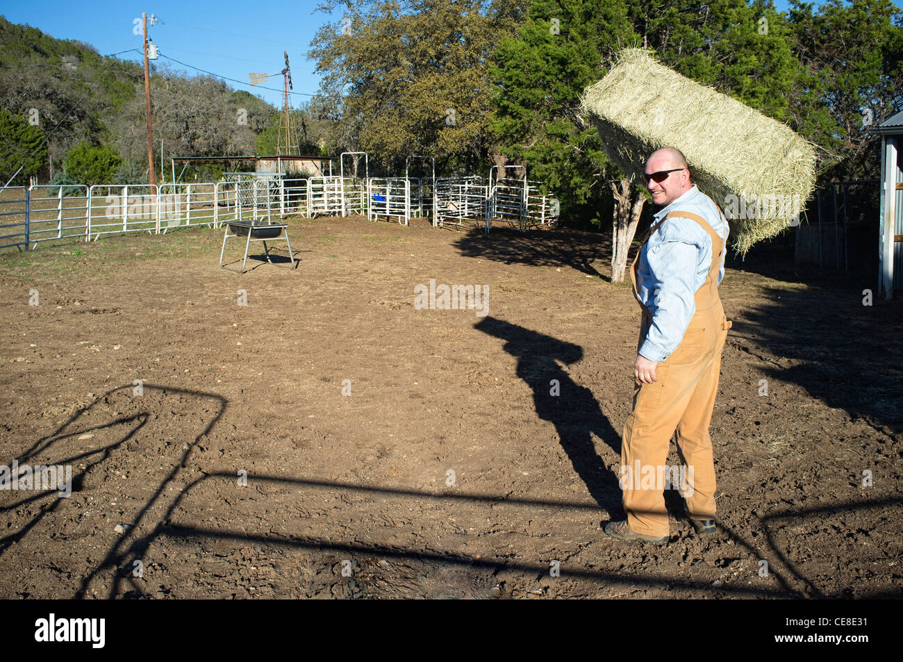 Lavoratore agricolo interessato portando una balla di fieno Foto Stock