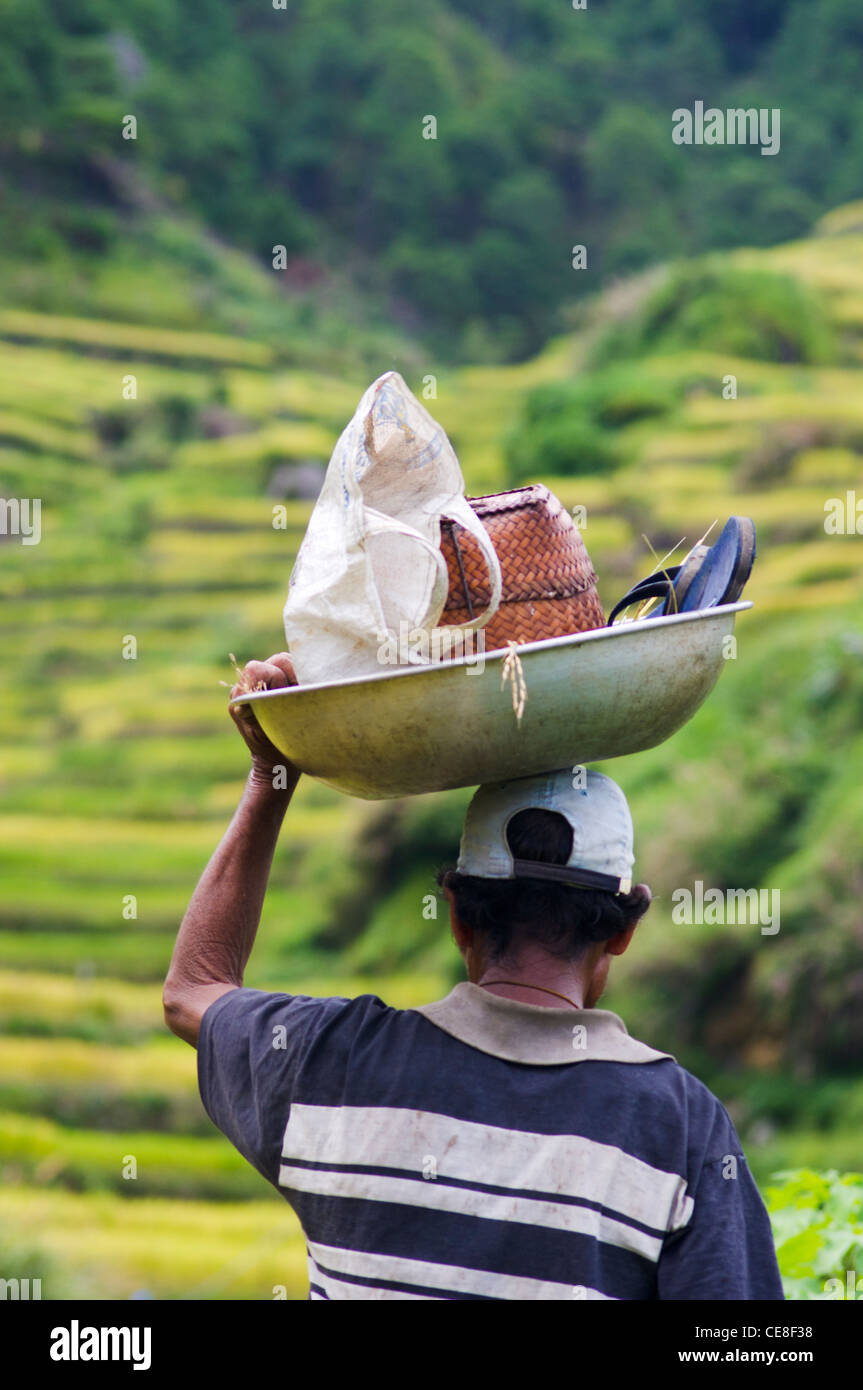 Un agricoltore nel campo di riso, con i suoi beni. Foto Stock