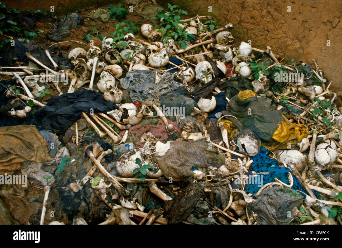 Le ossa delle vittime di un massacro a sinistra in una casa in Ruanda Foto Stock