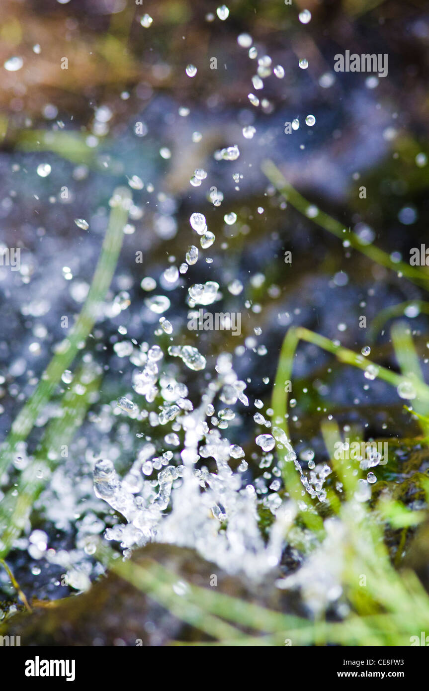 Una chiusura di acqua che fluisce attraverso il campo di riso. Foto Stock