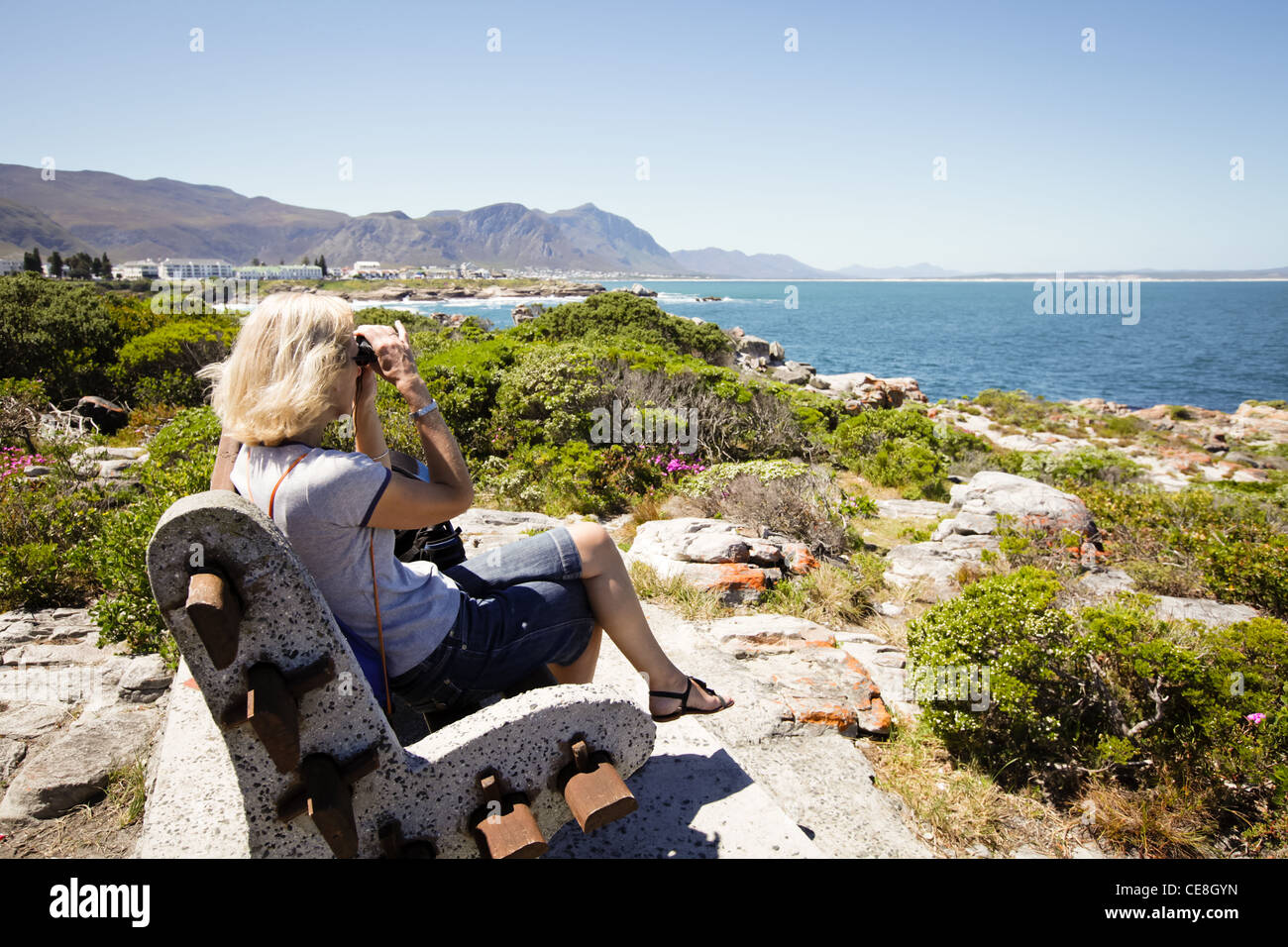 Whale watching in Hermanus, Sud Africa nei pressi di Città del Capo Foto Stock