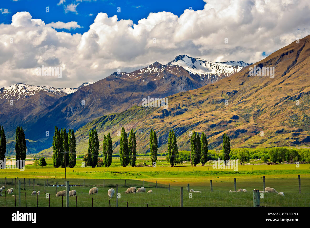 Farmland backdropped dalla Harris Mountain Range vicino a Wanaka di Central Otago, South Island, in Nuova Zelanda. Foto Stock