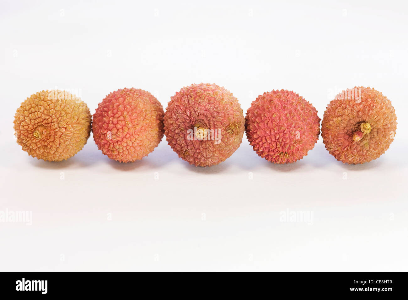 Litchi chinenesis. Litchi frutto su uno sfondo bianco. Foto Stock