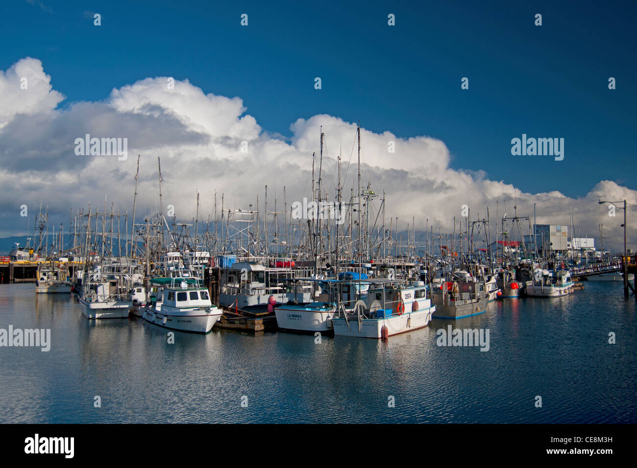 Il piccolo porto di pesca di Francese Creek sull'Isola di Vancouver, British Columbia. In Canada. SCO 7897 Foto Stock