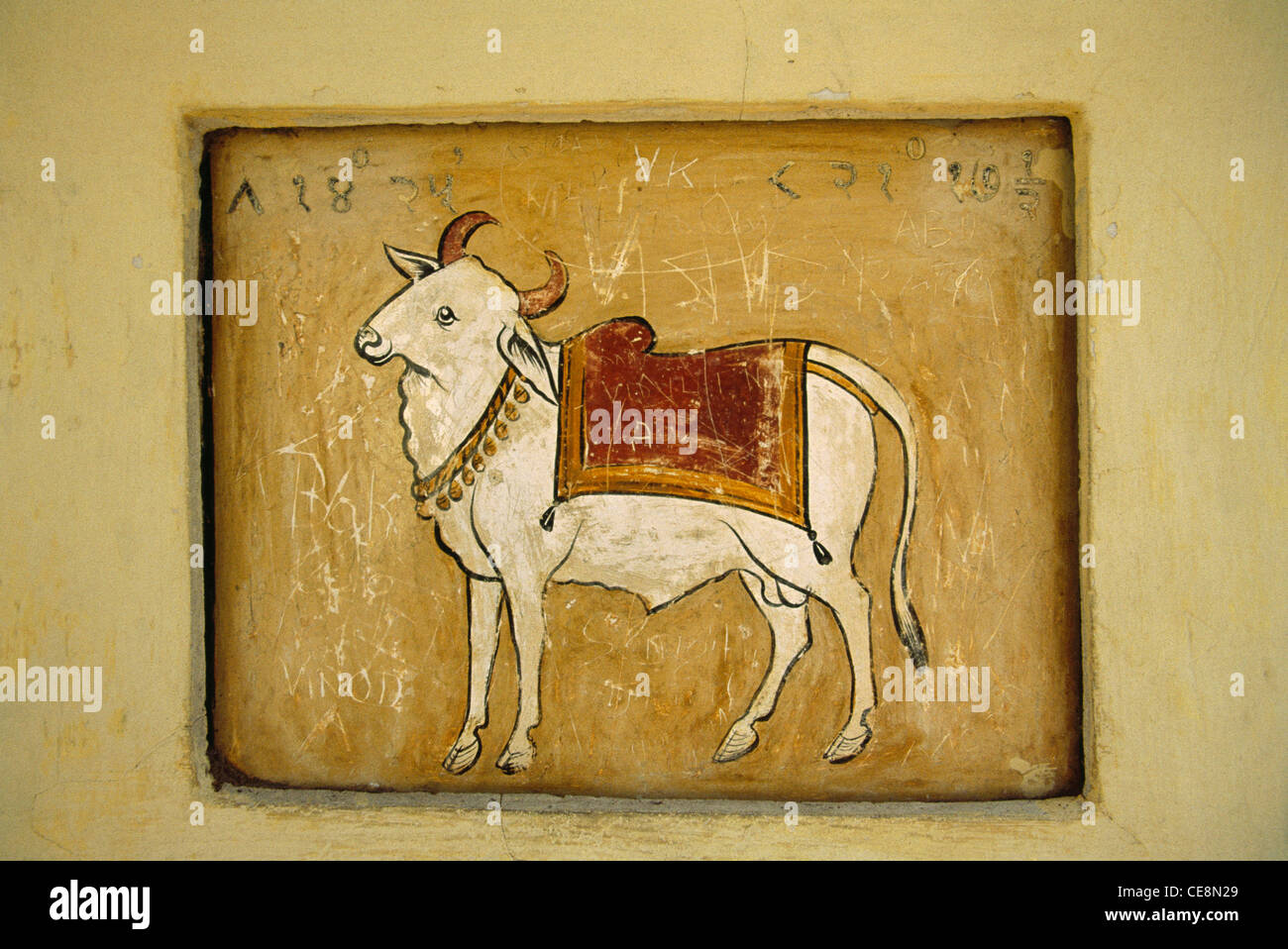 AAD 80023 : vacca indiana bull ox buoi Star Sign dipinto sul muro a Antarmantar india Foto Stock