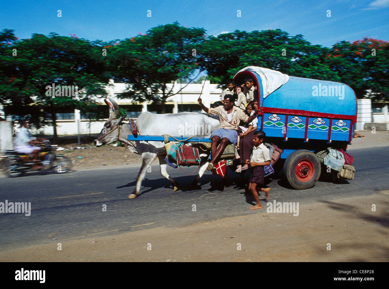 I bambini che vanno a scuola in un carrello di giovenco coimbatore Tamil Nadu india - maa 81046 Foto Stock