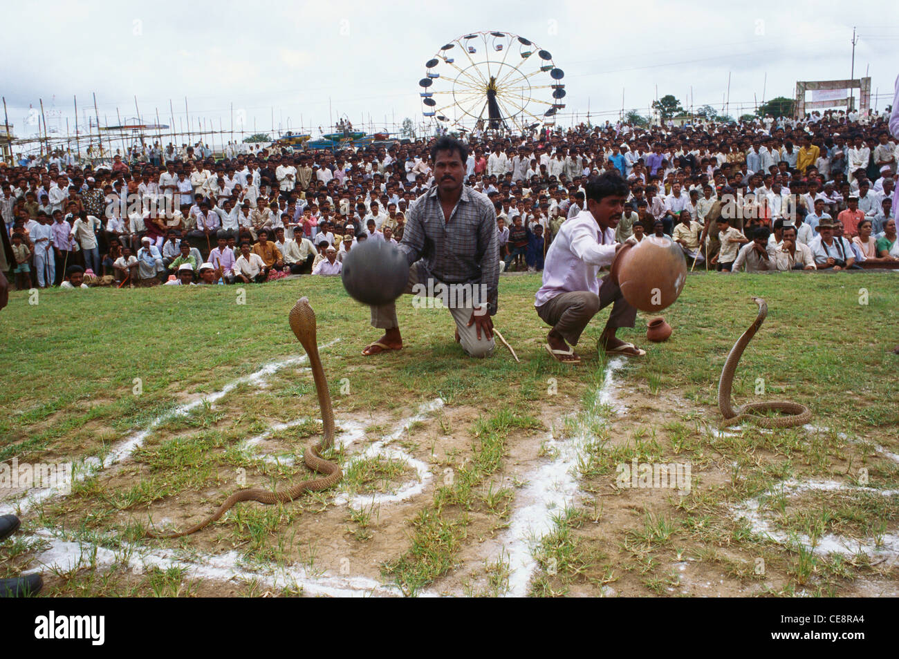 Concorso di serpenti Naga panchami featival , battis shirala ; maharashtra ; india Foto Stock
