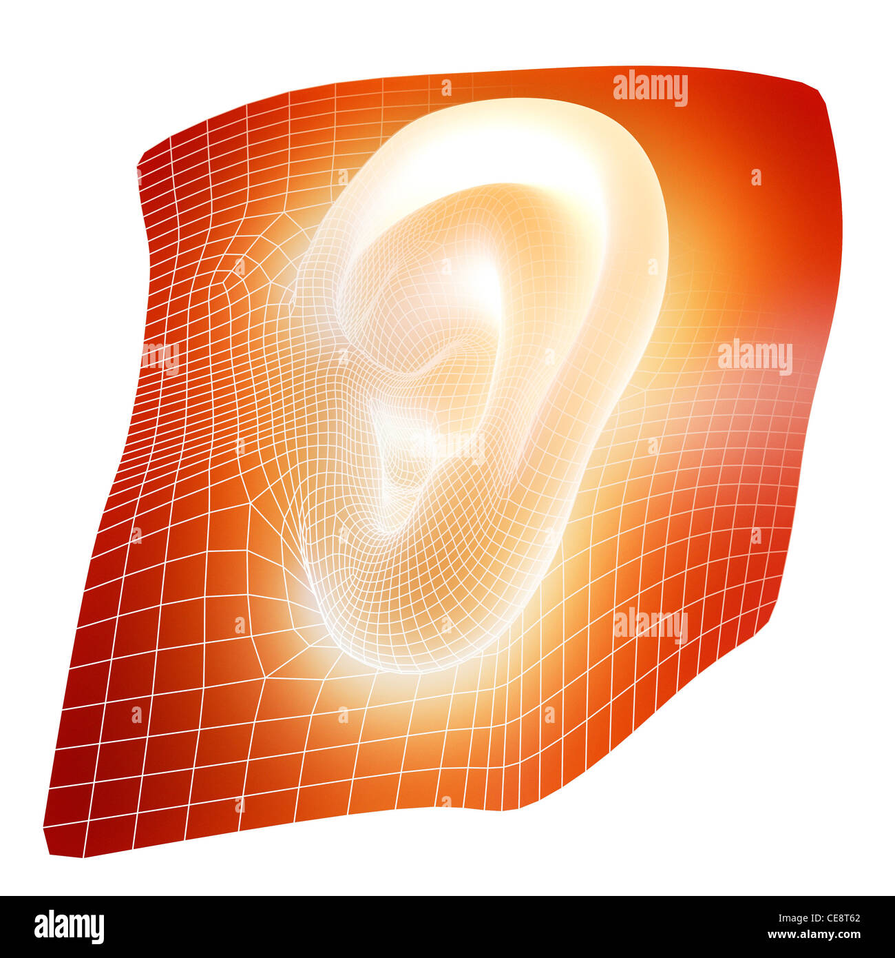 Orecchio umano illustrazione del computer potrebbe rappresentare crescente di nuovi organi umani in laboratorio nel processo chiamato ingegneria tessutale utilizzando Foto Stock
