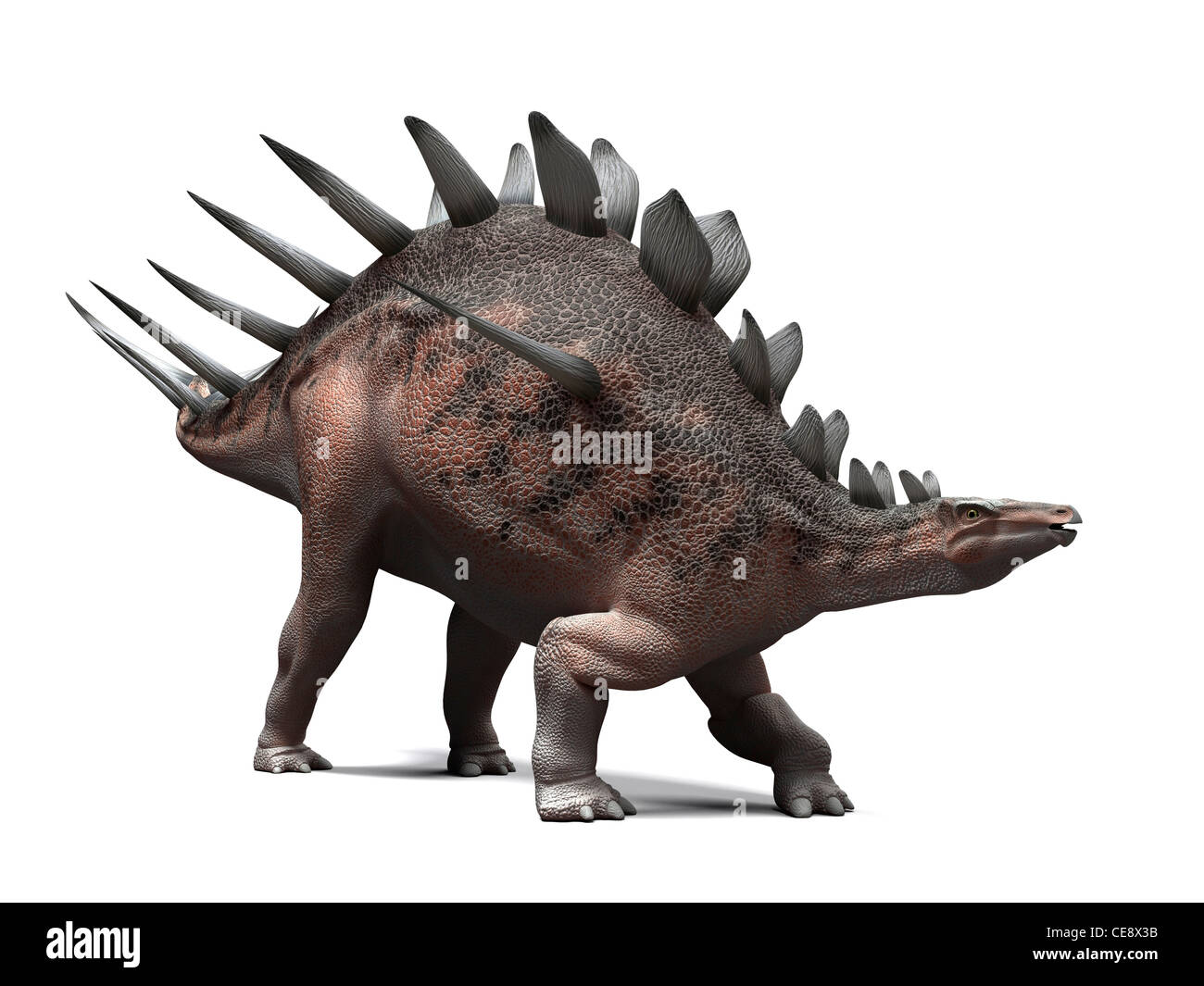 Dinosauro Kentrosaurus, computer grafica. Questo dinosauro vissuto 145 a 160 milioni di anni fa durante il tardo giurassico. Foto Stock