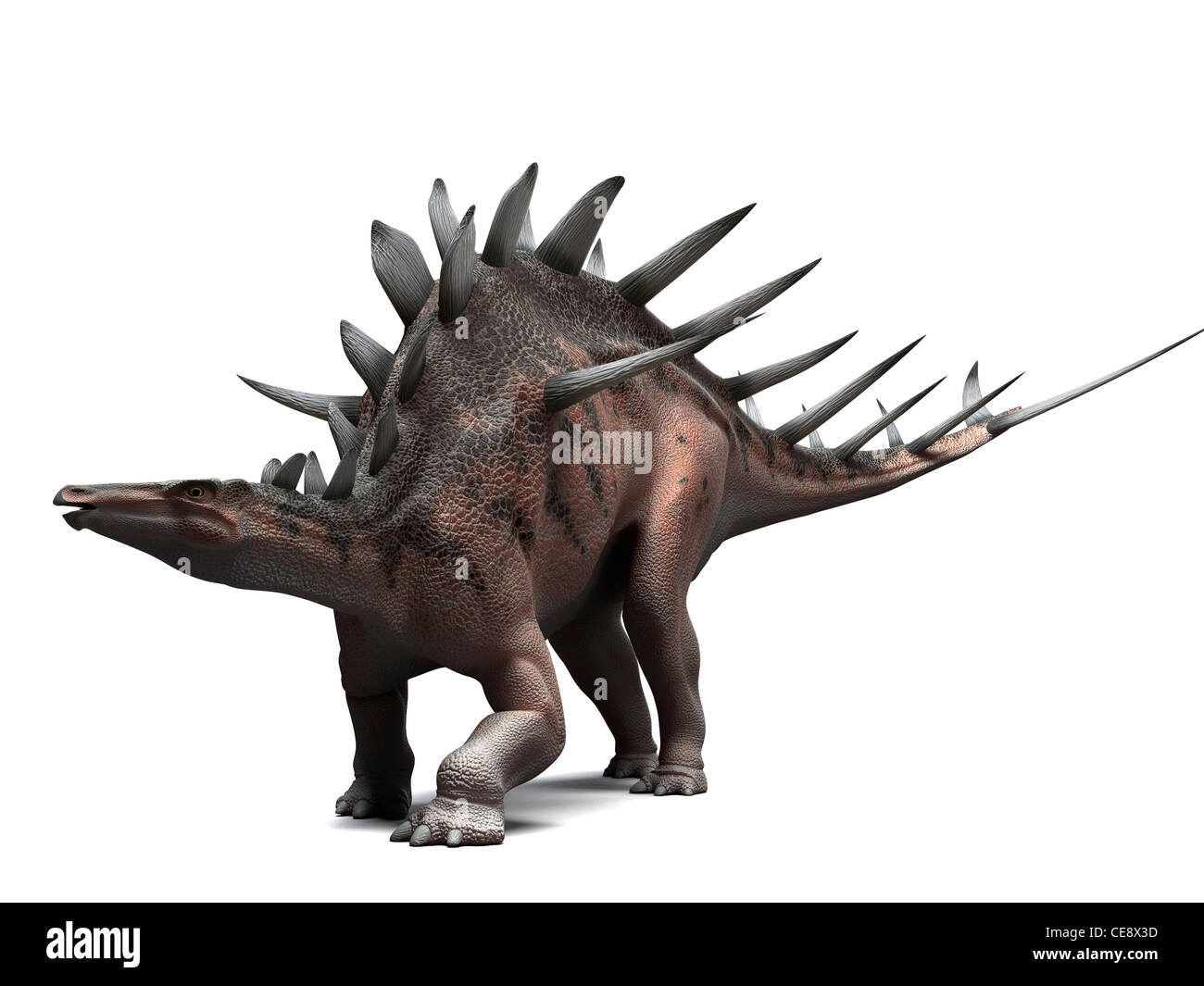 Dinosauro Kentrosaurus, computer grafica. Questo dinosauro vissuto 145 a 160 milioni di anni fa durante il tardo giurassico. Foto Stock
