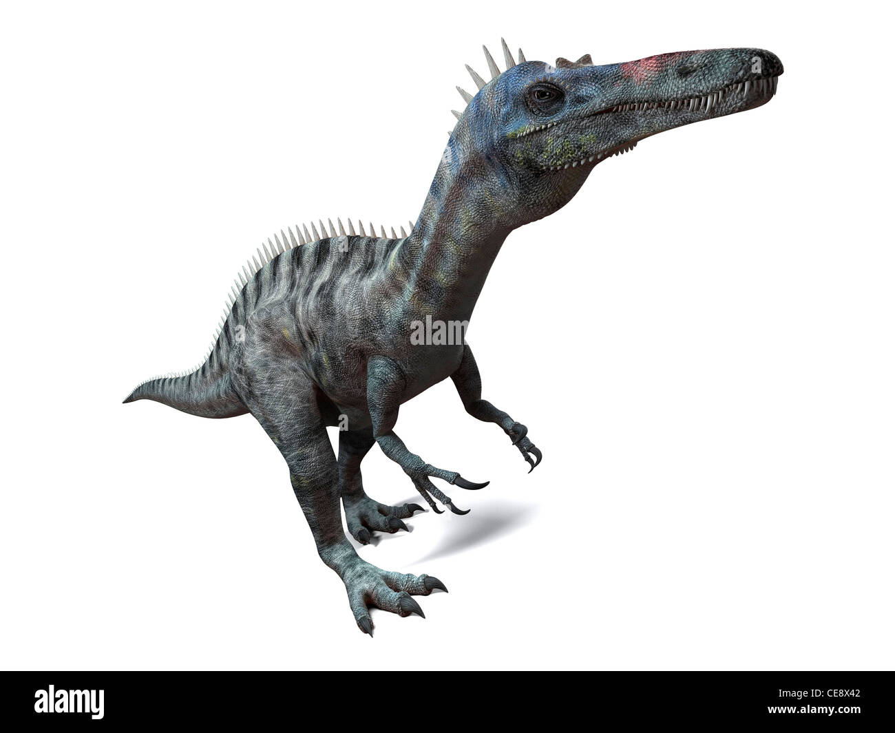 Dinosauro Suchomimus computer artwork dinosauro vissuto da 110 a 120 milioni di anni fa durante la metà del periodo Cretaceo. Foto Stock