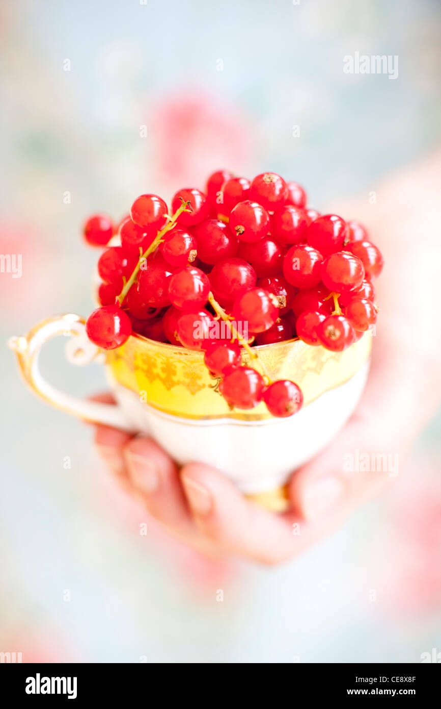 Modello rilasciato. Ribes rosso in una tazza. Foto Stock