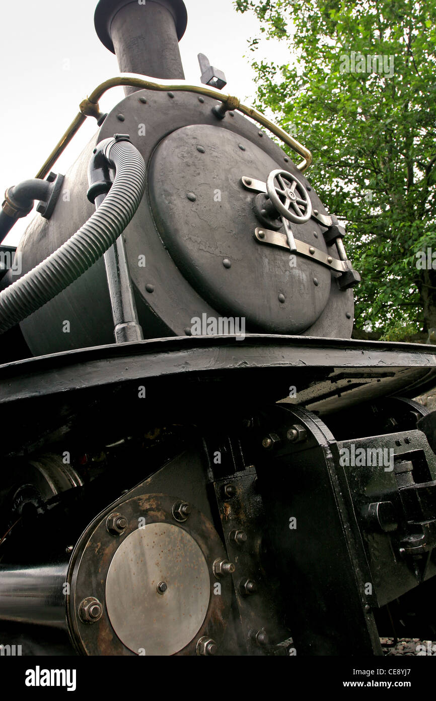 Motori a serbatoio di vapore sul treno rurale gallese Ffestiniog Servizio Galles Regno Unito Foto Stock