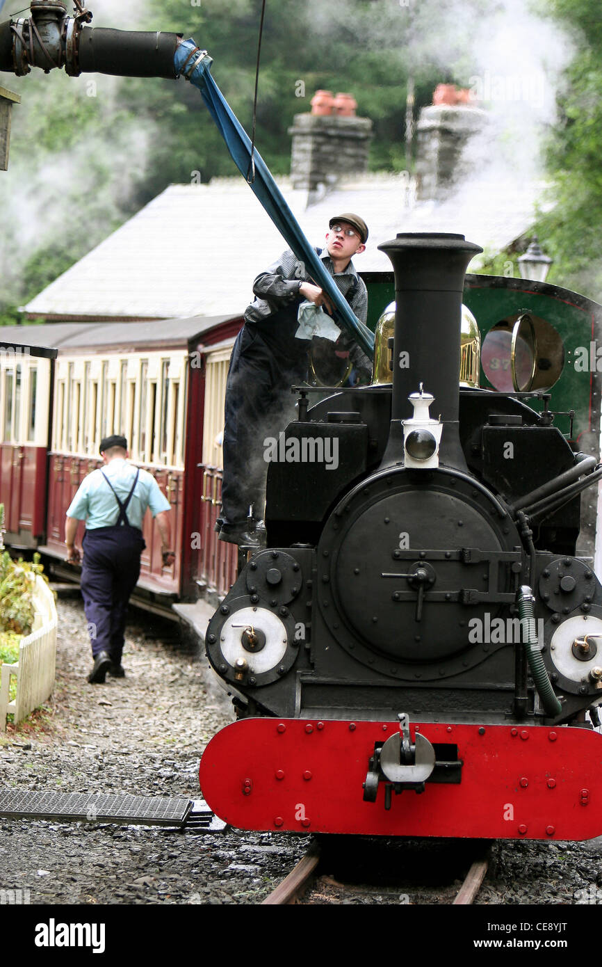 Motori a serbatoio di vapore sul treno rurale gallese Ffestiniog Servizio Galles Regno Unito Foto Stock