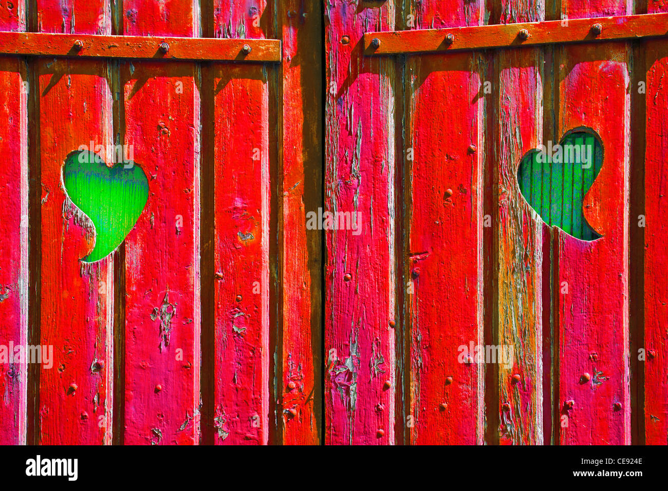 Due forme di cuore tagliato in un rosso cancello in legno rivelando il legno verde dietro, simbolico di invidia, gelosia, passione Foto Stock