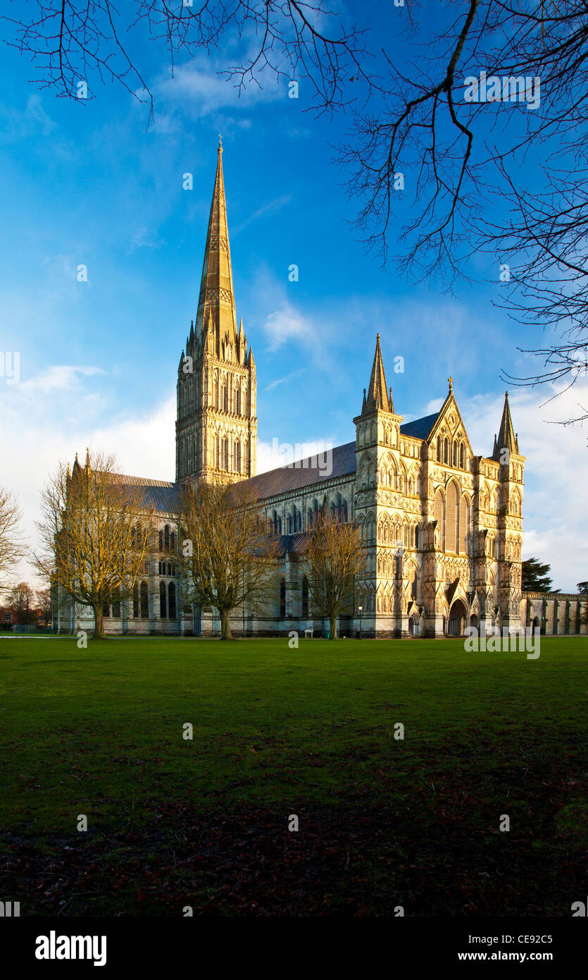 Golden luce della sera cade sulla facciata ovest e la guglia della Cattedrale di Salisbury, Wiltshire, Inghilterra, Regno Unito Foto Stock