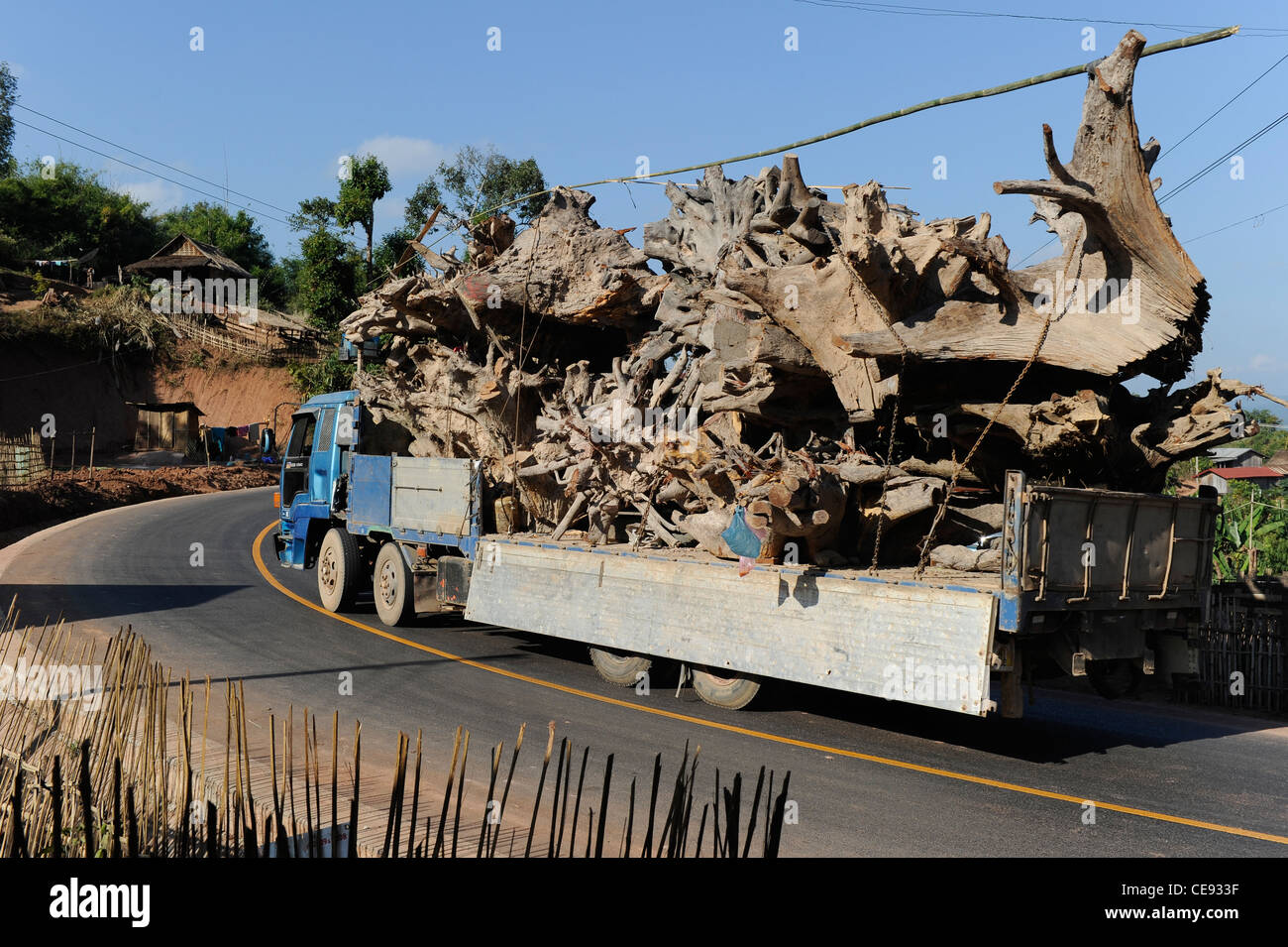Asia LAOS provincia Oudomxay , villaggio Houyta presso la strada per la Cina, i carrelli di trasporto di legno alberi tropicali per la Cina Foto Stock