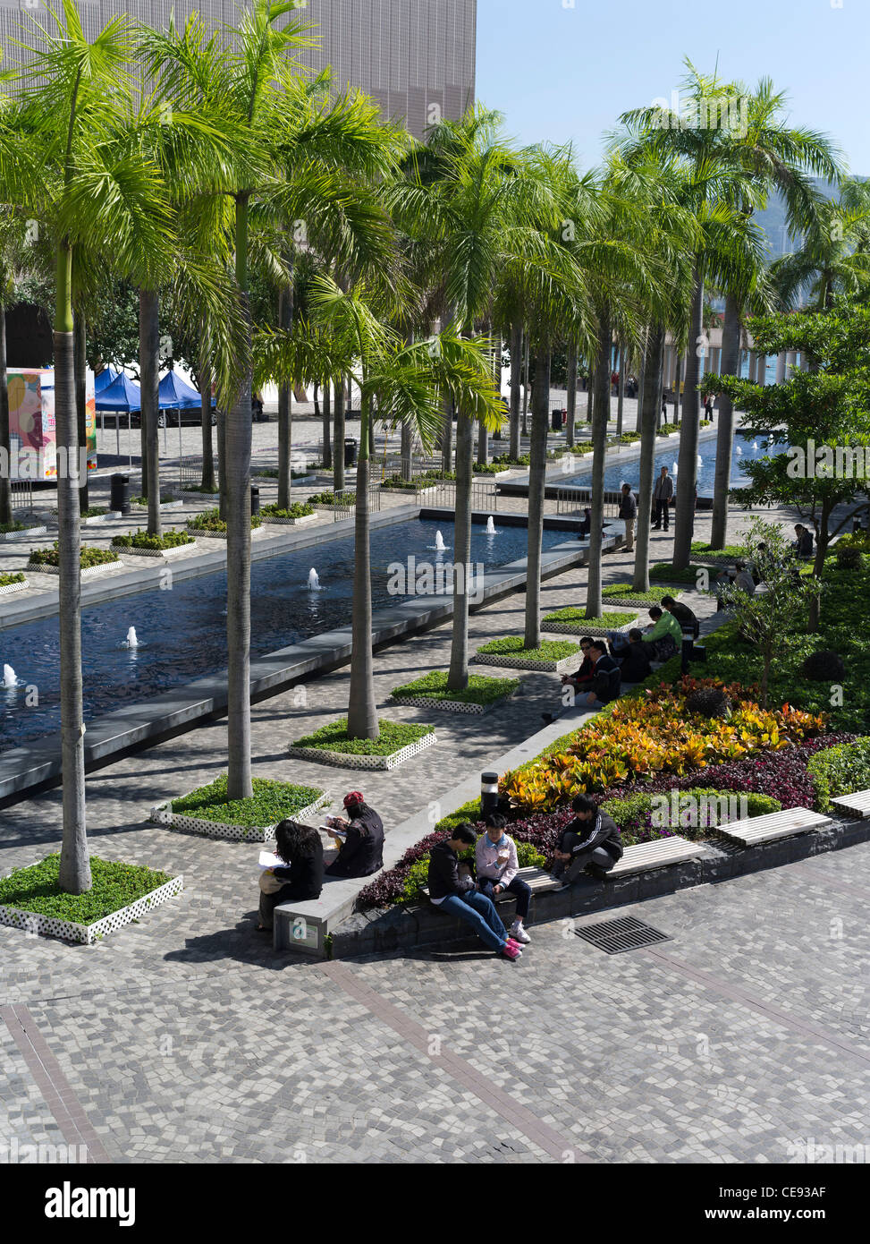 Dh Tsim Sha Tsui Hong Kong il popolo cinese rilassante kowloon waterfront gardens stagno Foto Stock Dh Tsim Sha Tsui Hong Kong il popolo cinese rilassante kowloon waterfront gardens stagno Foto Stock