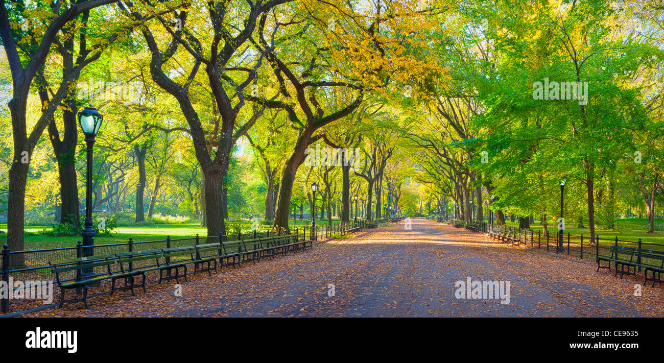 Passeggiata letteraria in colori autunnali, Central Park Foto Stock