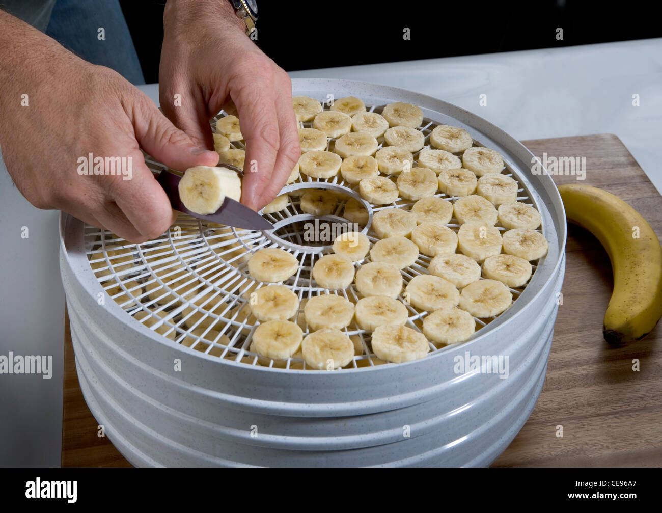 Immissione fette di banana in un deumidificatore per rendere la frutta secca Foto Stock