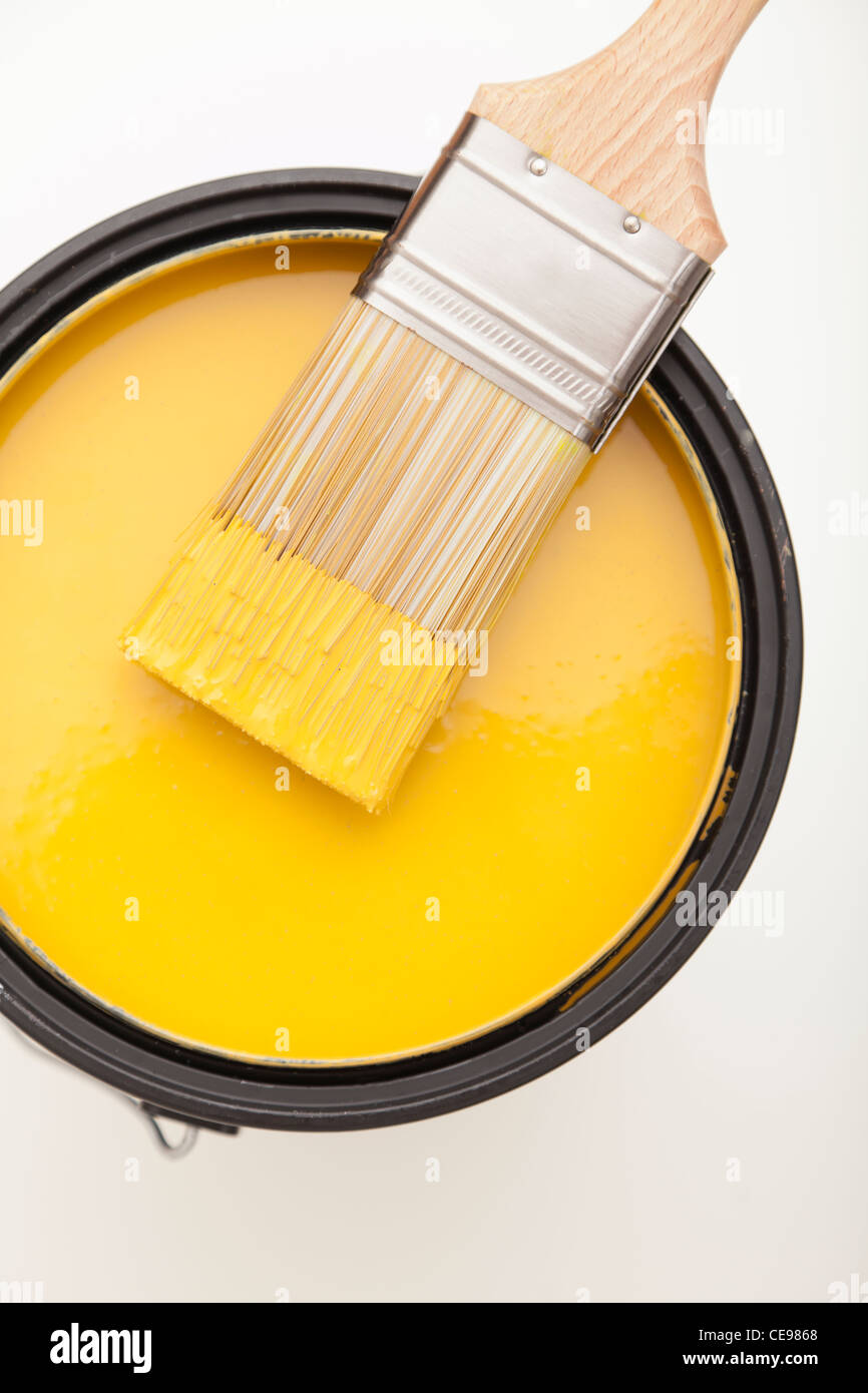 Studio colpo di spazzola di vernice e la vernice può Foto Stock