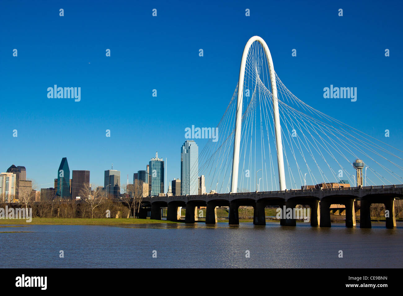 Margaret Hunt Hill bridge, progettato da Santiago Calatrava, portando in Dallas, Texas. Foto Stock