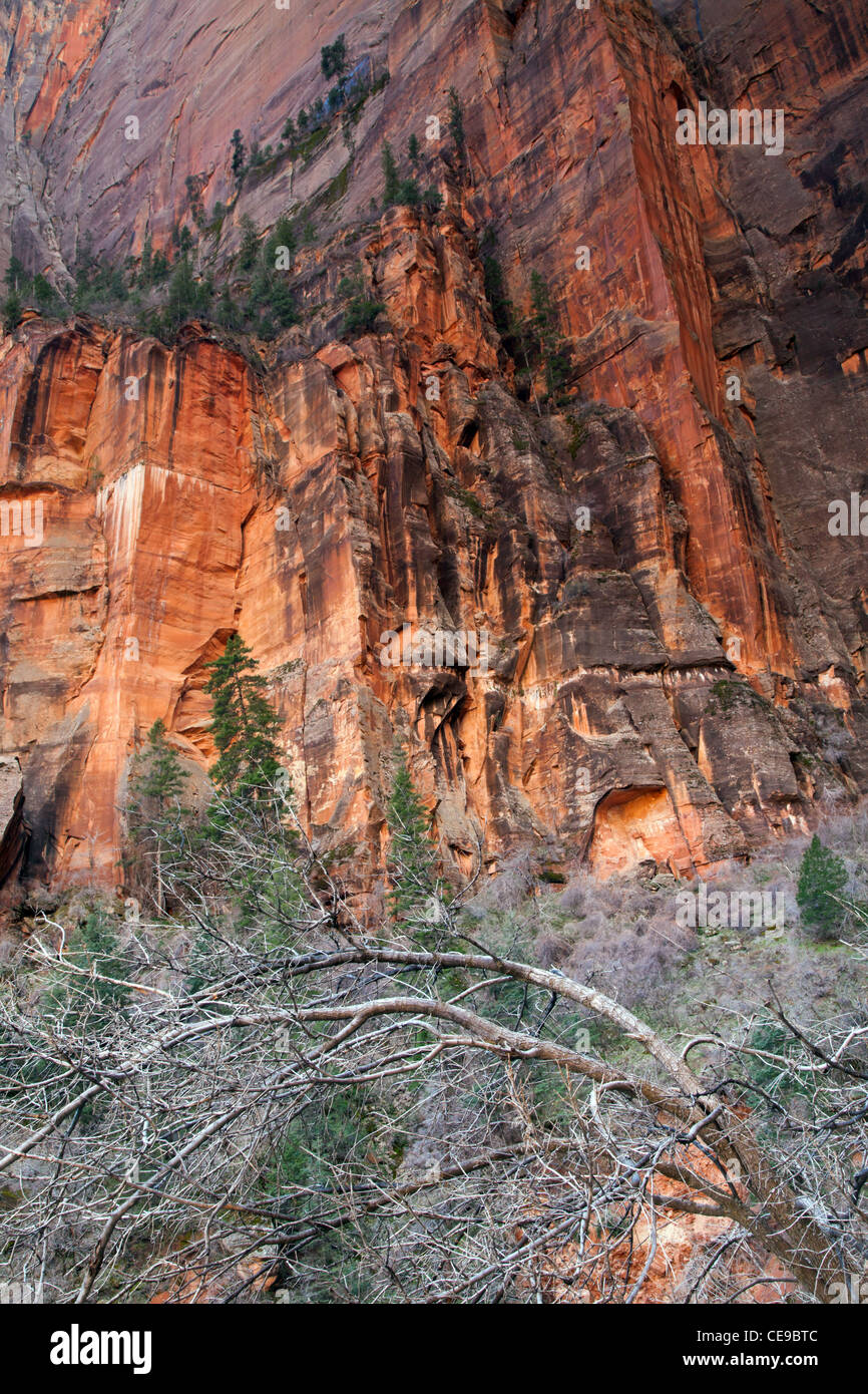 Torreggiante di roccia con struttura piegata Foto Stock