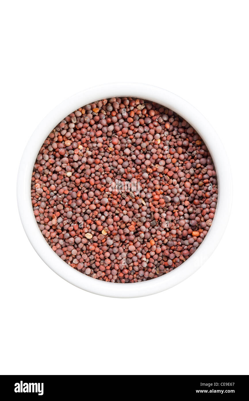 Nero semi di senape Foto Stock