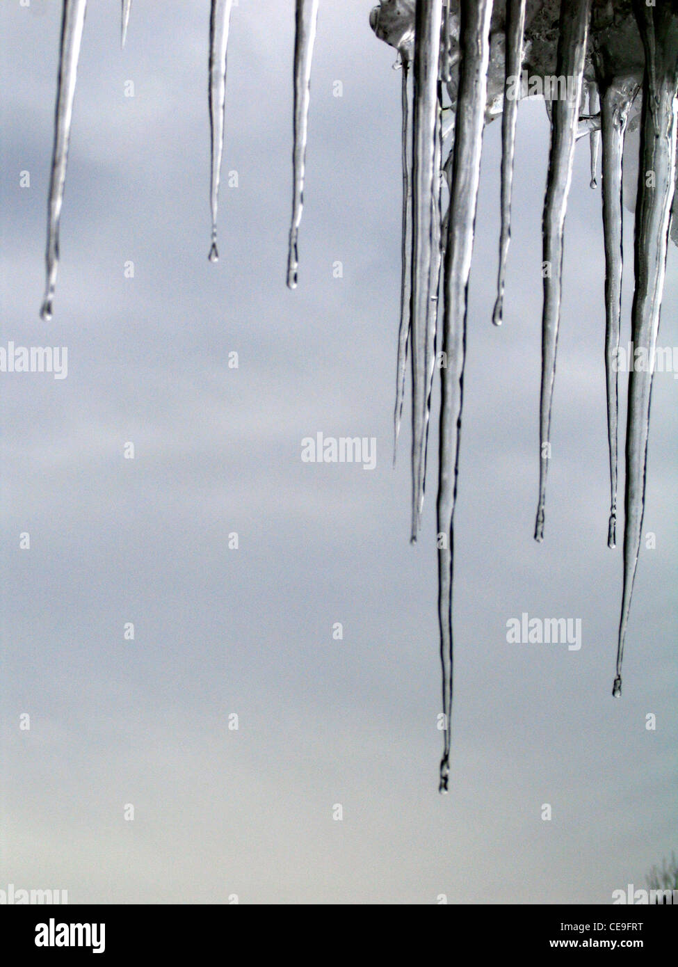 Ghiaccioli su un tetto Foto Stock