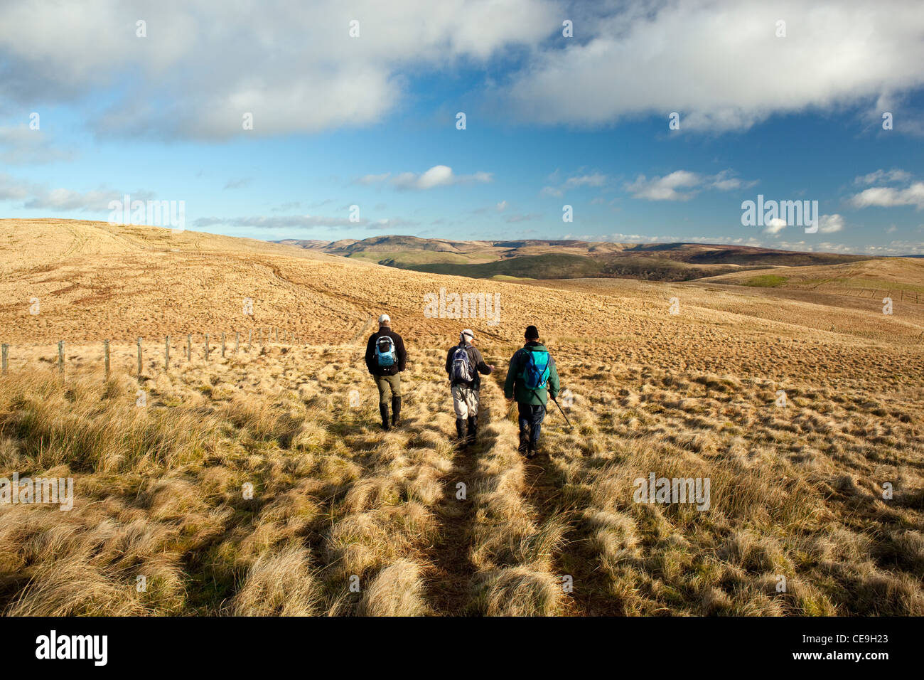 Tre gli escursionisti a piedi attraverso la brughiera dalla testa Craighope con Nero Knowe anteriore nel Langholm Hills, scozzese, border, SCO Foto Stock