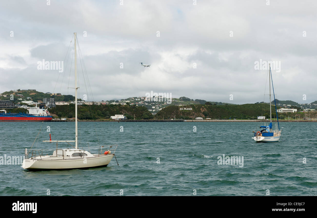 'All Blacks' firmare a Miramar penisola vicino al aeroporto di Wellington, Nuova Zelanda Foto Stock