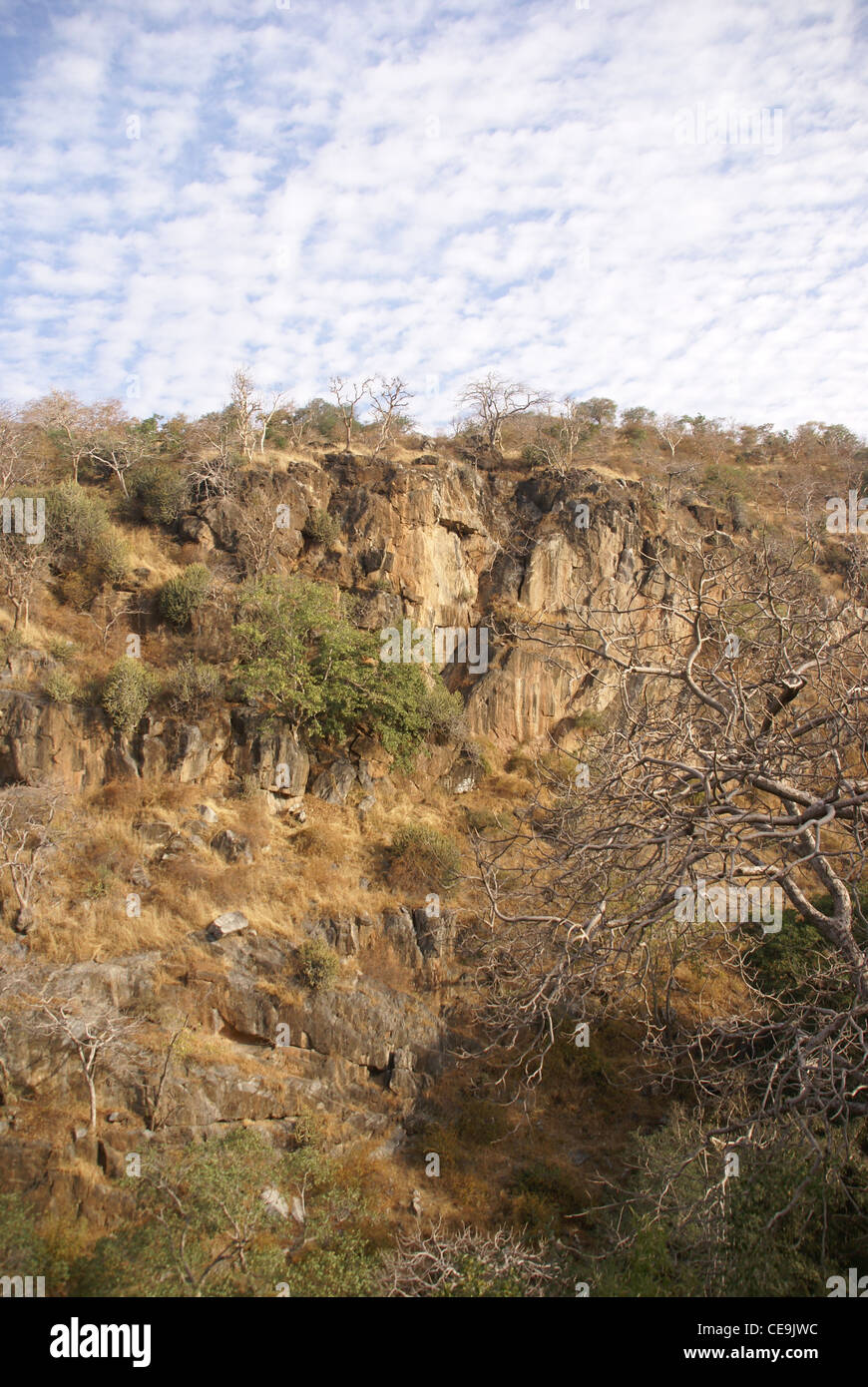 Scogliere e macchia foresta vicino Kumbhalgarh Fort nel Rajasthan, India, Asia Foto Stock