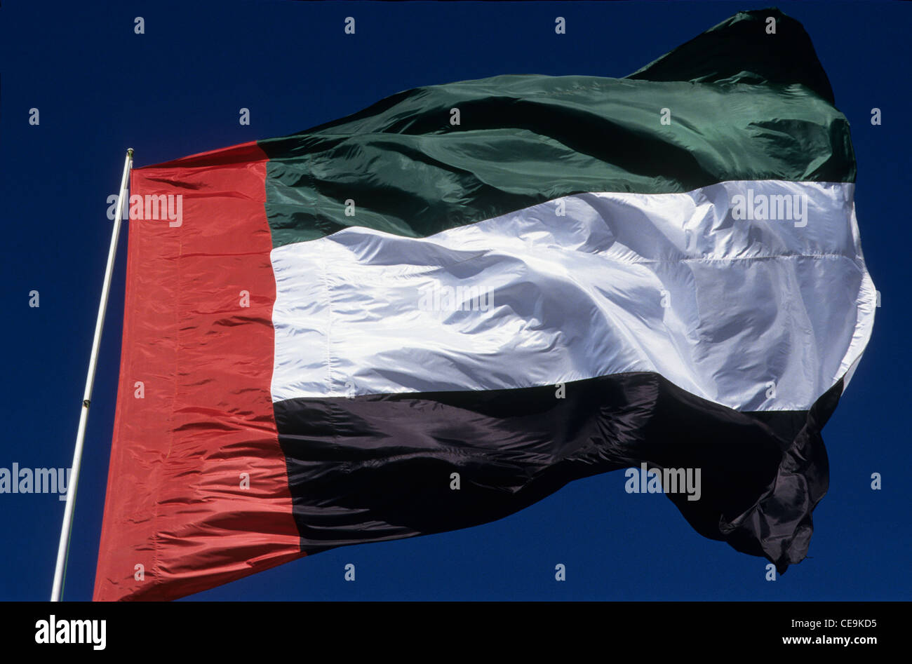 Bandiera nazionale degli Emirati Arabi Uniti. Foto Stock