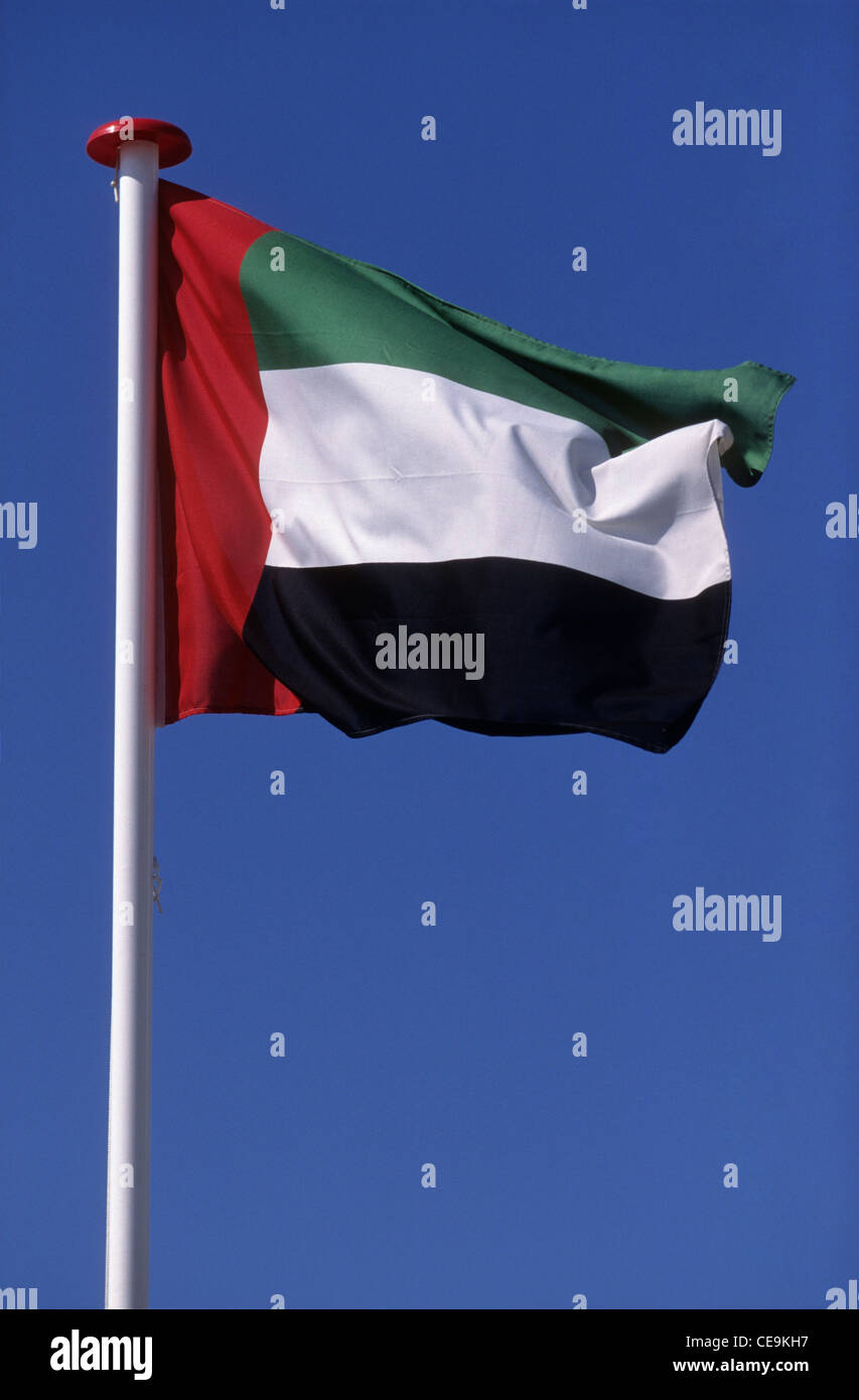 Bandiera nazionale degli Emirati Arabi Uniti. Foto Stock