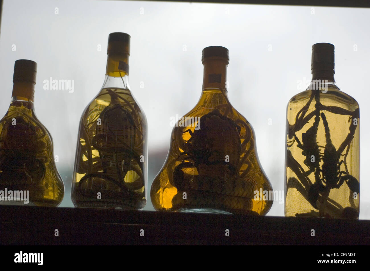 I vietnamiti sono forti i credenti nella medicina tradizionale cinese e si possono acquistare vino di serpente e Scorpion vino ovunque. Foto Stock